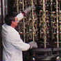 baldwin door hardware