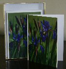 ann marie gillinger photo note cards