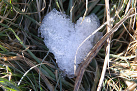 heart snow greeting card