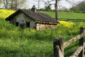 springhouse greeting card
