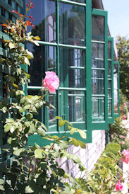 roses and windows greeting card