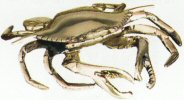 crab coin holder