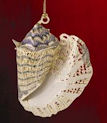 baldwin tropical shell ornament