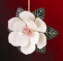 baldwin magnolia blossom