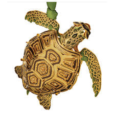 Sea Turtle Christmas Ornament